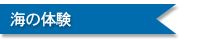 海の体験